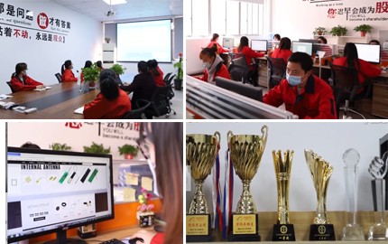 开云体育网站官网